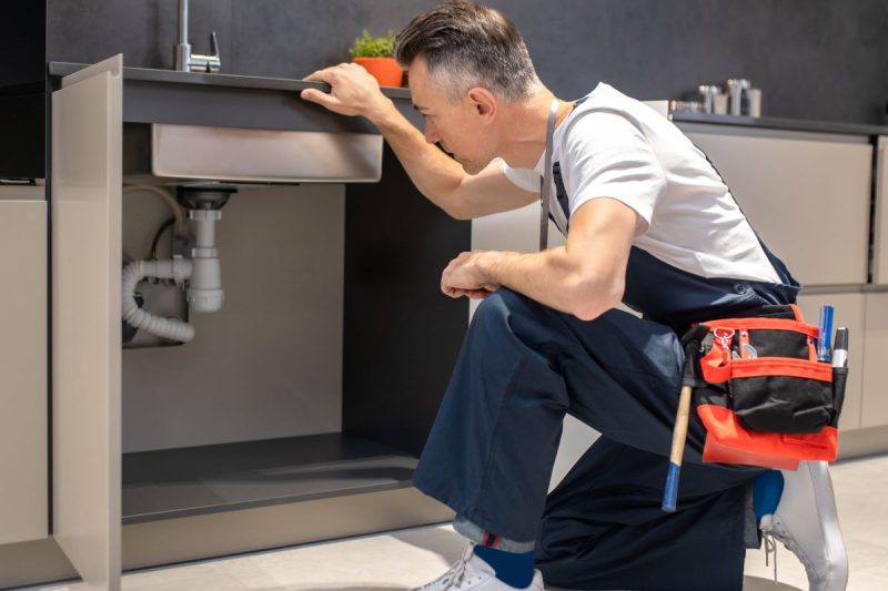 professional plumbing services